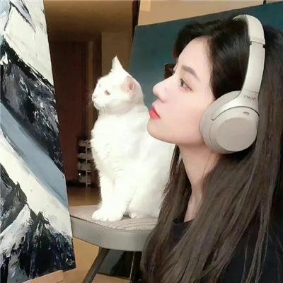 妙探肥羊